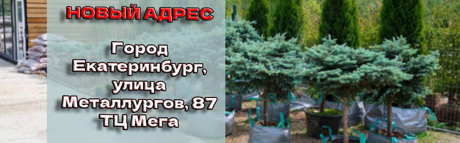 Питомник растений в Екатеринбурге: купить саженцы, рассаду в  интернет-магазине садового центра Калина Парк